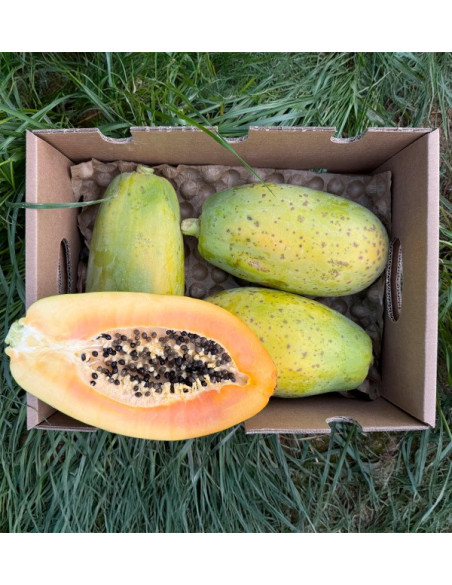 Buy Papayas Online | Discover the Exotic Flavor and Health Benefits