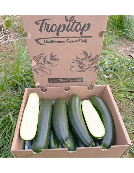 Buy Green or Black Zucchini Online at Tropitop