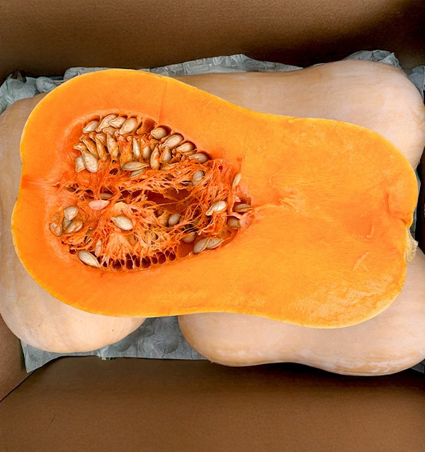 Comprar Calabaza cacahuete Online en Tropitop