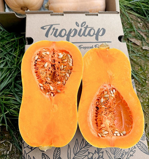 Comprar Calabaza cacahuete Online en Tropitop