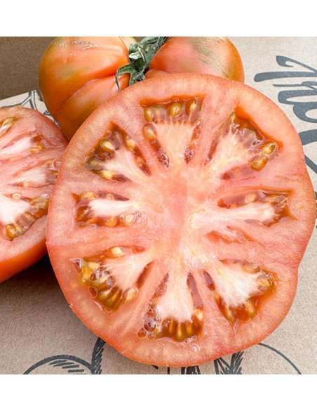 Acheter des tomates Raf en ligne chez Tropitop