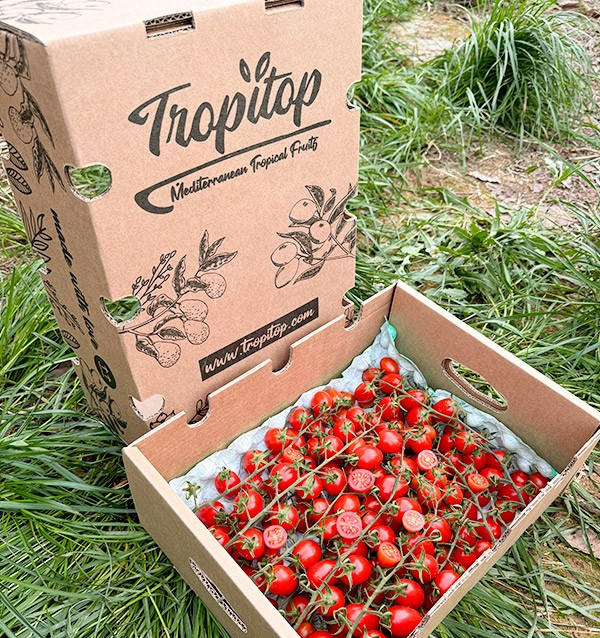 Acquista Pomodori Cherry on the Vine Online