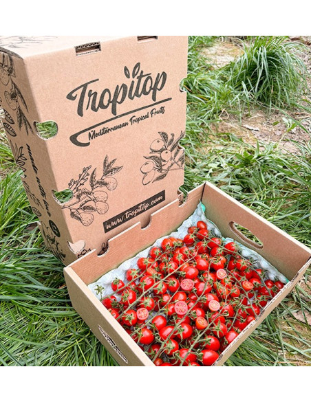 Comprar Tomates Cherry en Rama Online