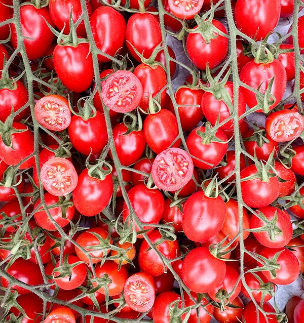 Acquista Pomodori Cherry on the Vine Online