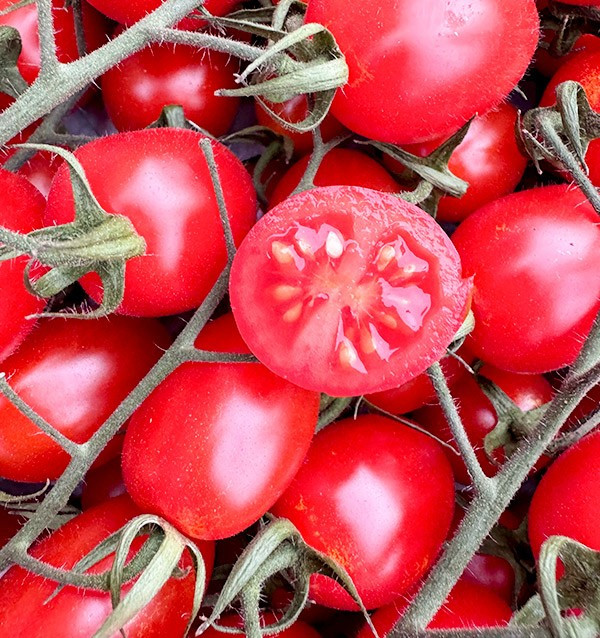 Acquista Pomodori Cherry on the Vine Online