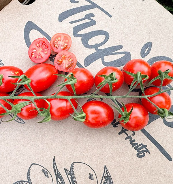 Acquista Pomodori Cherry on the Vine Online