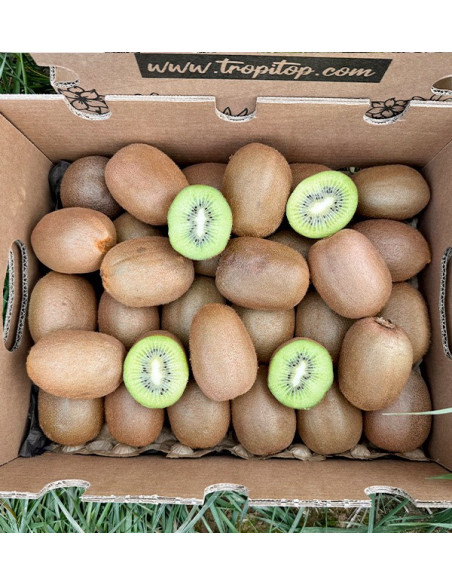 Acheter Kiwi Vert en ligne chez Tropitop