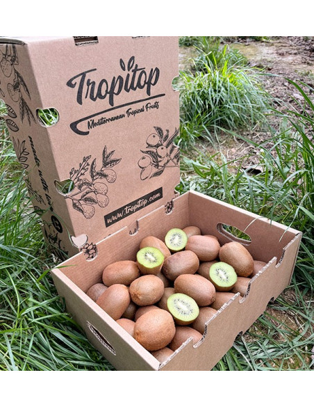 Acheter Kiwi Vert en ligne chez Tropitop