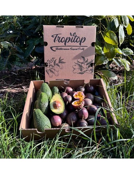 Comprar Fruta de la Pasión y Aguacates Hass | Frescura y Sabor Exótico en Tropitop