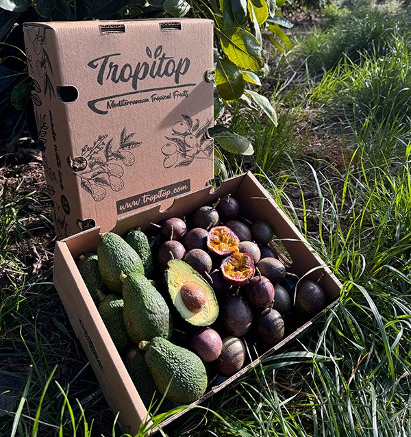 Comprar Fruta de la Pasión y Aguacates Hass | Frescura y Sabor Exótico en Tropitop