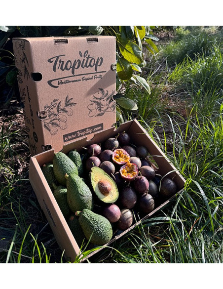 Comprar Fruta de la Pasión y Aguacates Hass | Frescura y Sabor Exótico en Tropitop