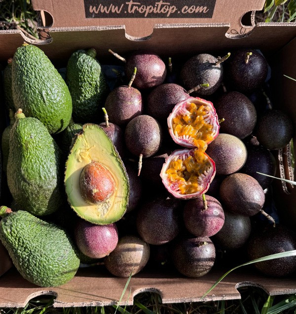 Comprar Fruta de la Pasión y Aguacates Hass | Frescura y Sabor Exótico en Tropitop