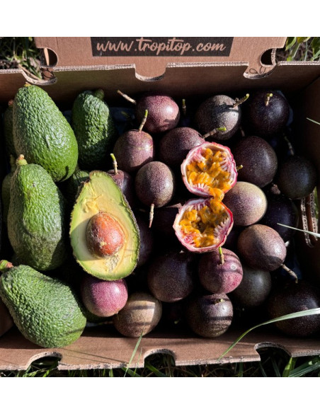 Comprar Fruta de la Pasión y Aguacates Hass | Frescura y Sabor Exótico en Tropitop