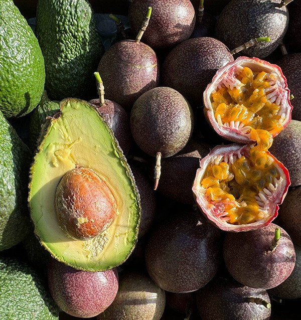Comprar Fruta de la Pasión y Aguacates Hass | Frescura y Sabor Exótico en Tropitop