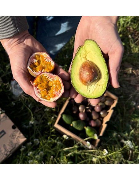 Comprar Fruta de la Pasión y Aguacates Hass | Frescura y Sabor Exótico en Tropitop