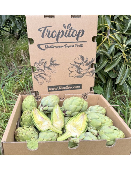 Comprar Alcachofas Valencianas Online en Tropitop