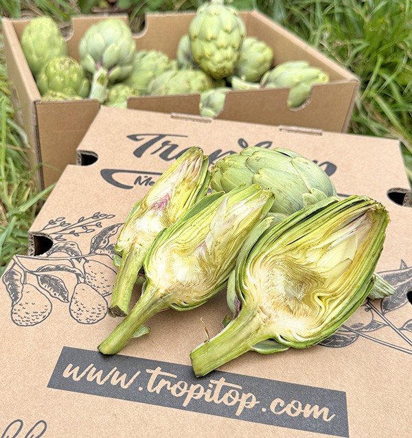 Comprare Carciofi Valenciani Online su Tropitop