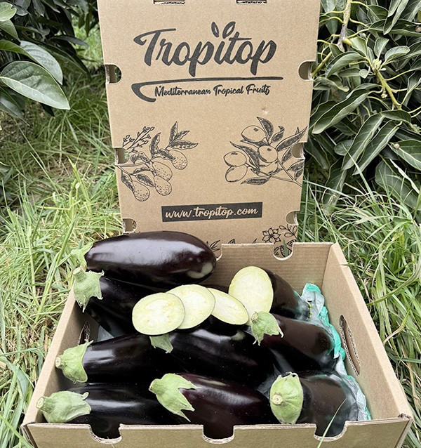 Schwarze Auberginen Online bei Tropitop kaufen