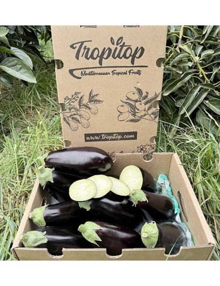 Schwarze Auberginen Online bei Tropitop kaufen