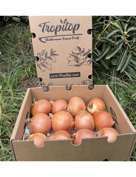 Comprar Cebollas Secas Blancas Online en Tropitop