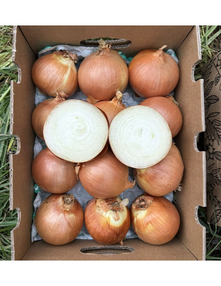 Acheter des Oignons Secs Blancs en Ligne sur Tropitop