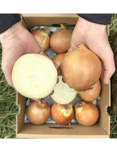 Acheter des Oignons Secs Blancs en Ligne sur Tropitop