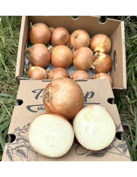 Acheter des Oignons Secs Blancs en Ligne sur Tropitop