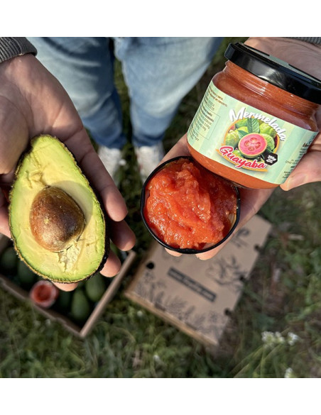 Comprar Abacates Hass e Doce de Goiaba Natural | Tropitop