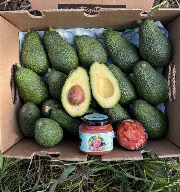 Comprar Abacates Hass e Doce de Goiaba Natural | Tropitop