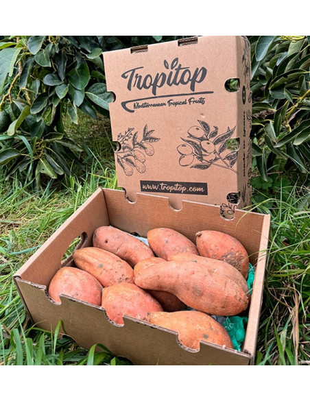 Acheter des Patates Douces en ligne sur Tropitop