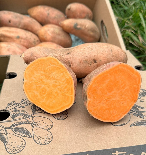 Comprar Batata Online na Tropitop