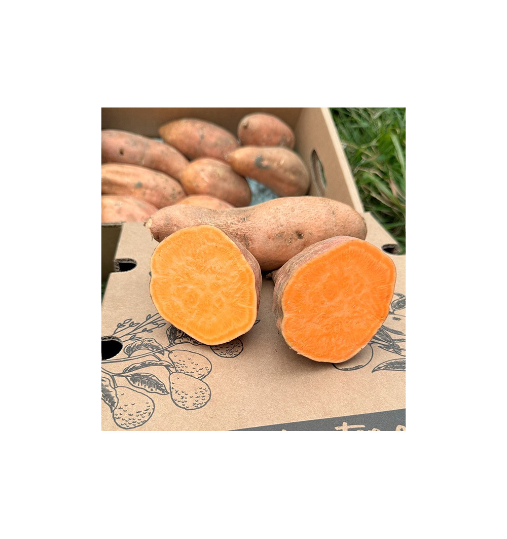 Comprar Batata Online en Tropitop