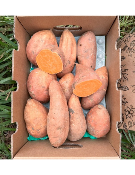 Acquista Patata dolce Online su Tropitop