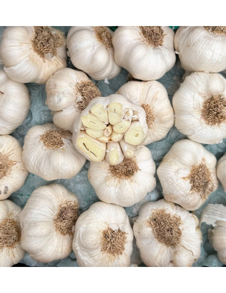 Buy White Garlic Online at Tropitop