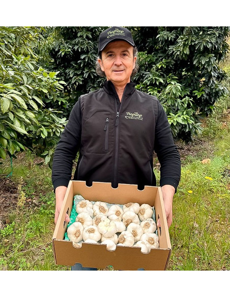 Acquista Aglio Bianco Online su Tropitop