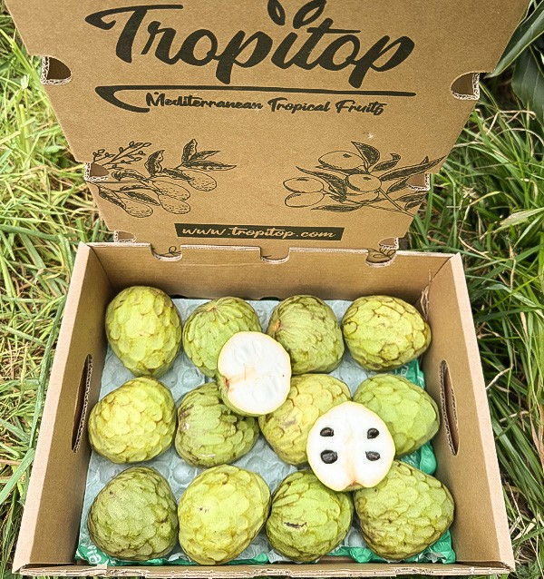 Comprar Chirimoya Online na Tropitop