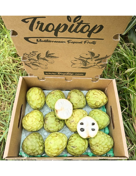 Comprar Chirimoya Online na Tropitop