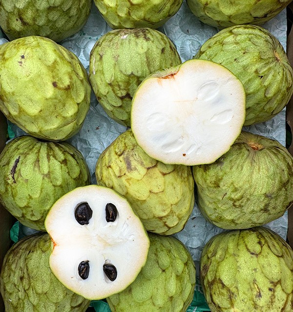 Buy Cherimoya Online at Tropitop