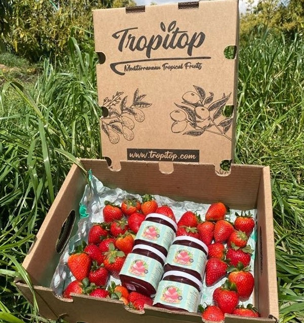 Handgemachte Erdbeermarmelade Kaufen | Tropitop 2