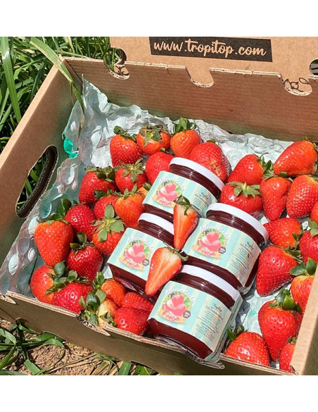 Acheter Confiture de Fraise Artisanale | Tropitop