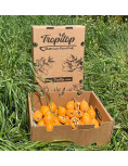 Nísperos