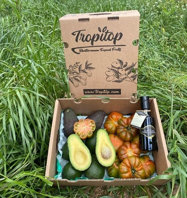 Mediterranes Paket mit Avocados, Tomaten und Olivenöl