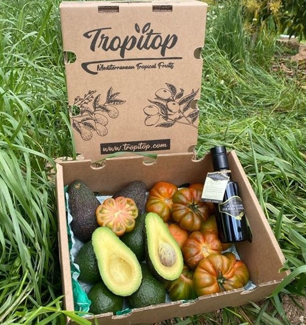 Mediterranes Paket mit Avocados, Tomaten und Olivenöl