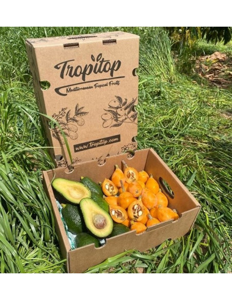 Acheter des Nèfles et des Avocats Hass en ligne chez Tropitop