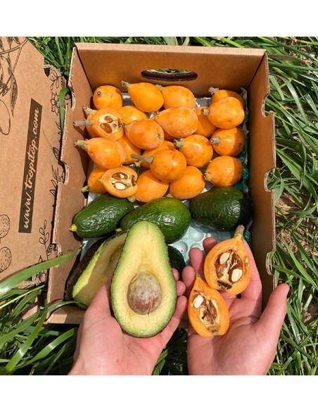 Acquista Nespole e Avocado Hass online su Tropitop