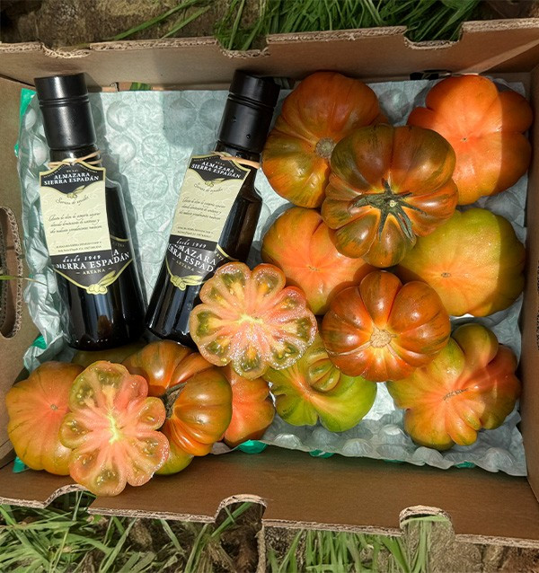 Comprar pack de Tomates raf y Aceite de oliva
