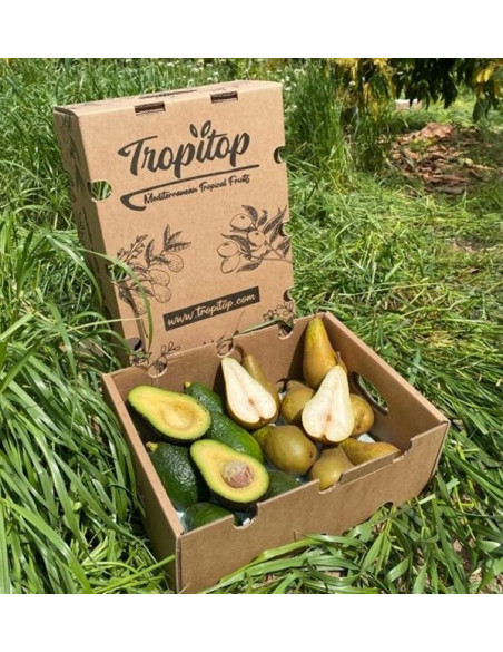 Hass-Avocados und Birnen online kaufen | Tropitop