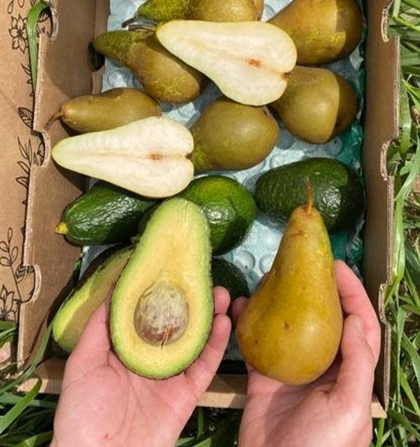 Hass-Avocados und Birnen online kaufen | Tropitop