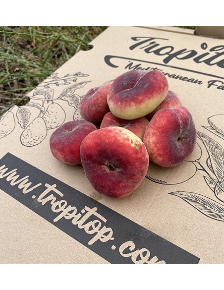 Flachpfirsiche Online Kaufen | Frische Sommerfrüchte