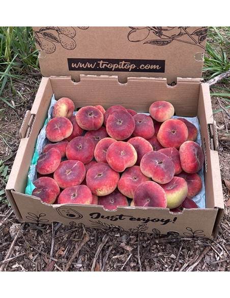 Comprar Pêssegos Achatados Online | Fruta de Verão Fresca